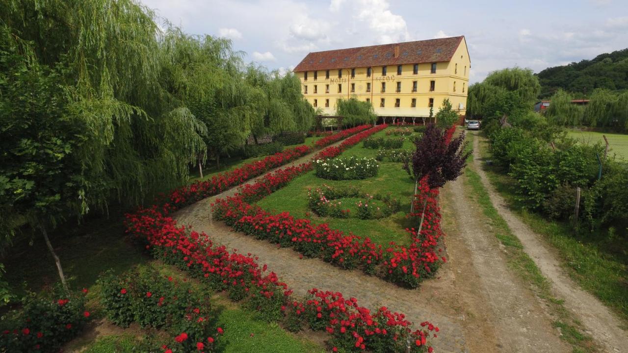 Hanul Moara Cu Noroc Hotel Ineu  Exterior photo